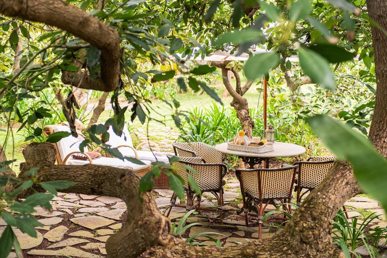 Homeforguest Cosy Rural Flat El Romero With Large Gardens 塔科龙特 外观 照片