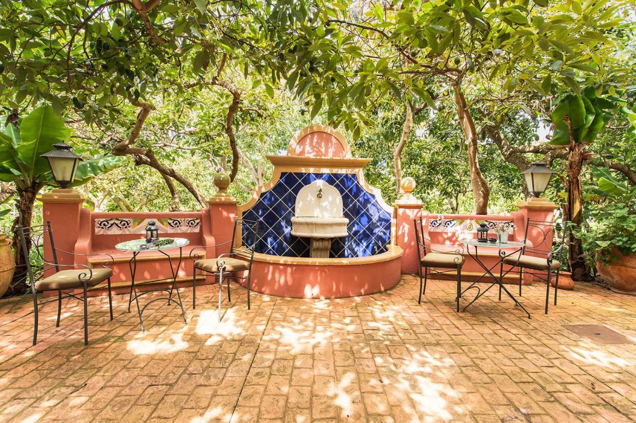 Homeforguest Cosy Rural Flat El Romero With Large Gardens 塔科龙特 外观 照片