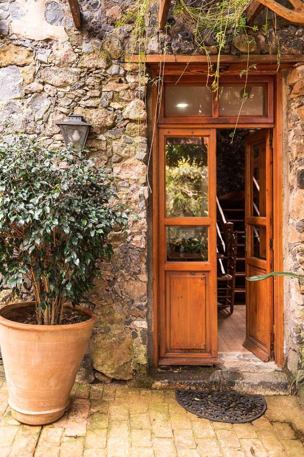Homeforguest Cosy Rural Flat El Romero With Large Gardens 塔科龙特 外观 照片