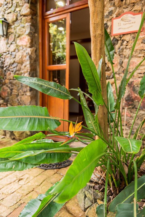 Homeforguest Cosy Rural Flat El Romero With Large Gardens 塔科龙特 外观 照片