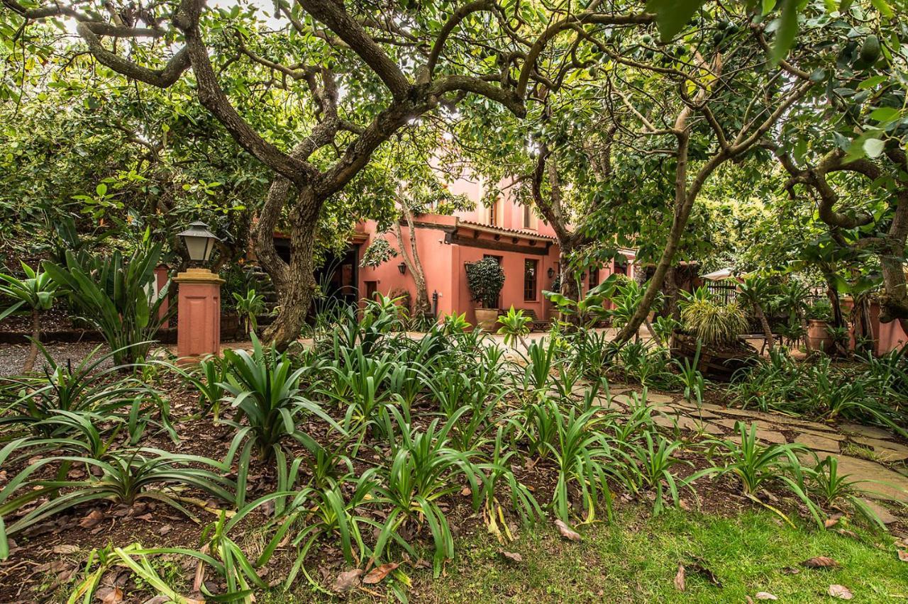 Homeforguest Cosy Rural Flat El Romero With Large Gardens 塔科龙特 外观 照片