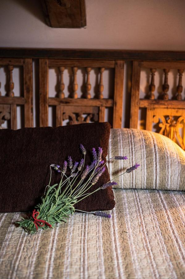 Homeforguest Cosy Rural Flat El Romero With Large Gardens 塔科龙特 外观 照片